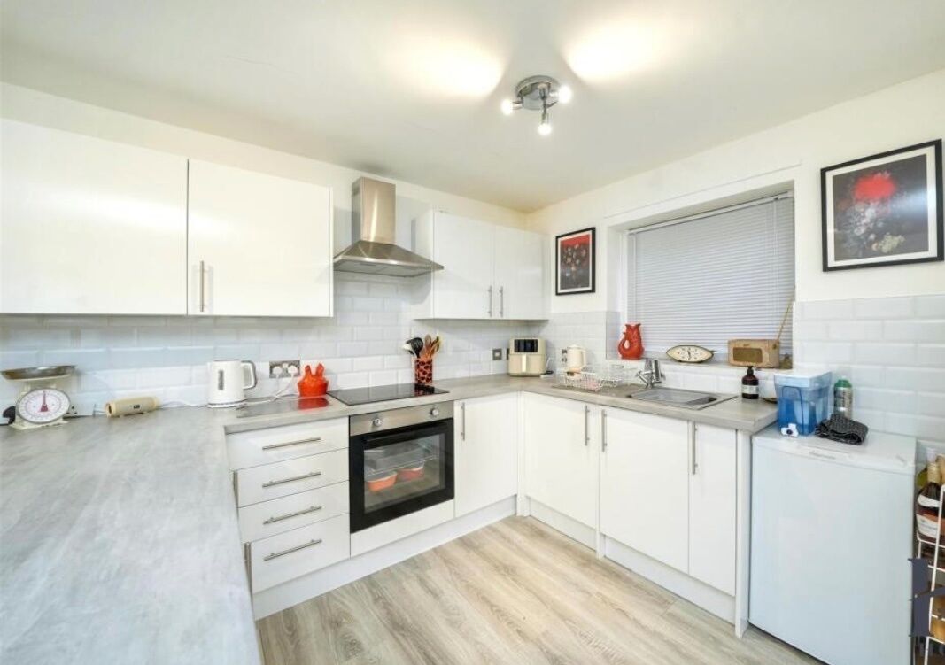 Fridge, oven, stovetop, toaster