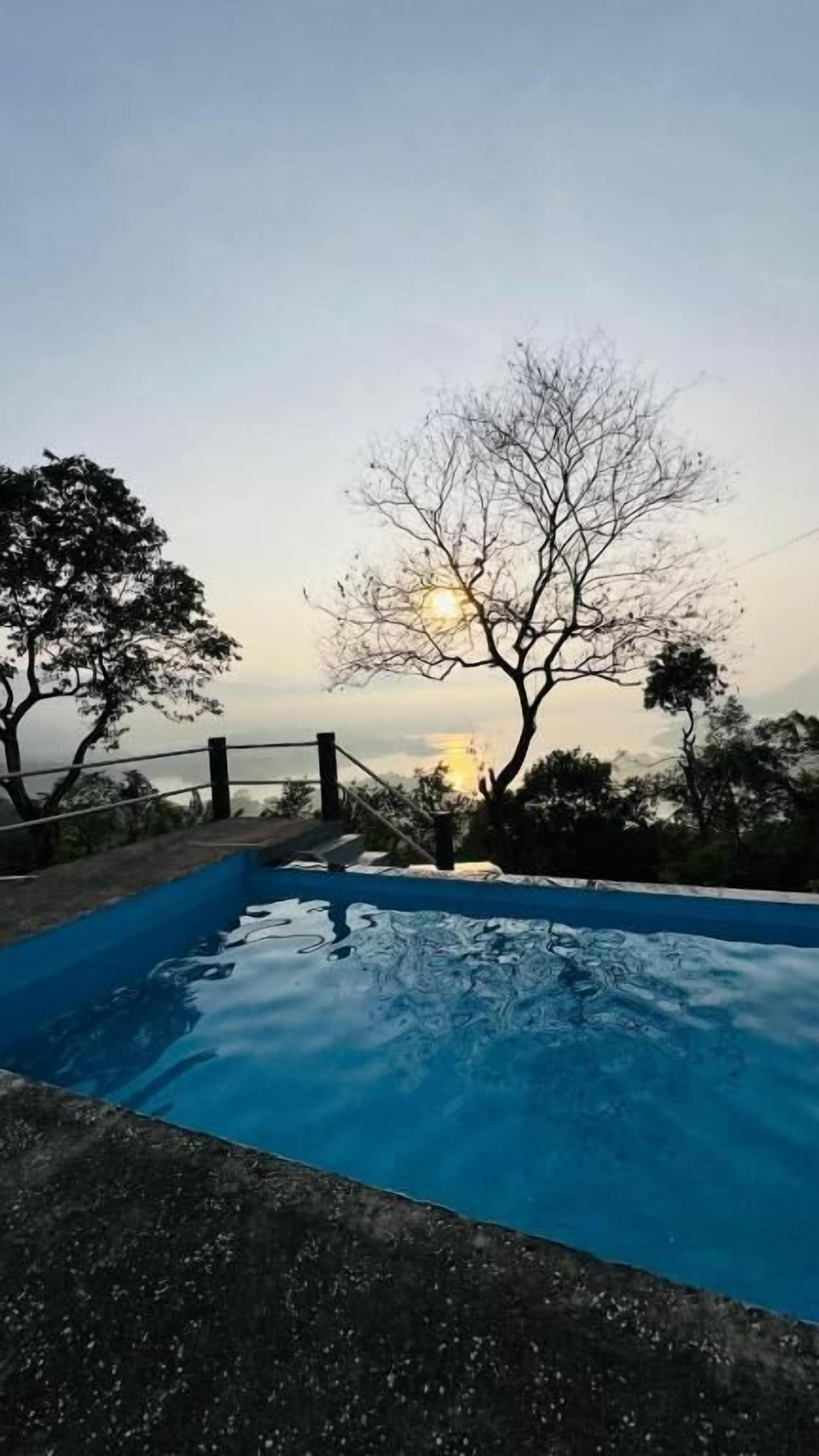 A swimming pool with a view of trees and a sunset.