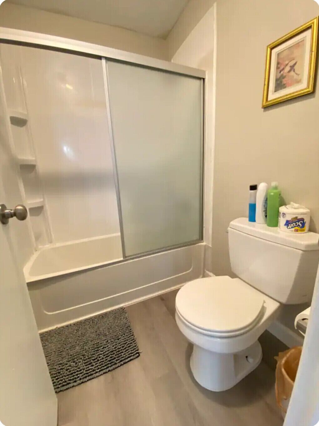Hair dryer, towels, soap, toilet paper