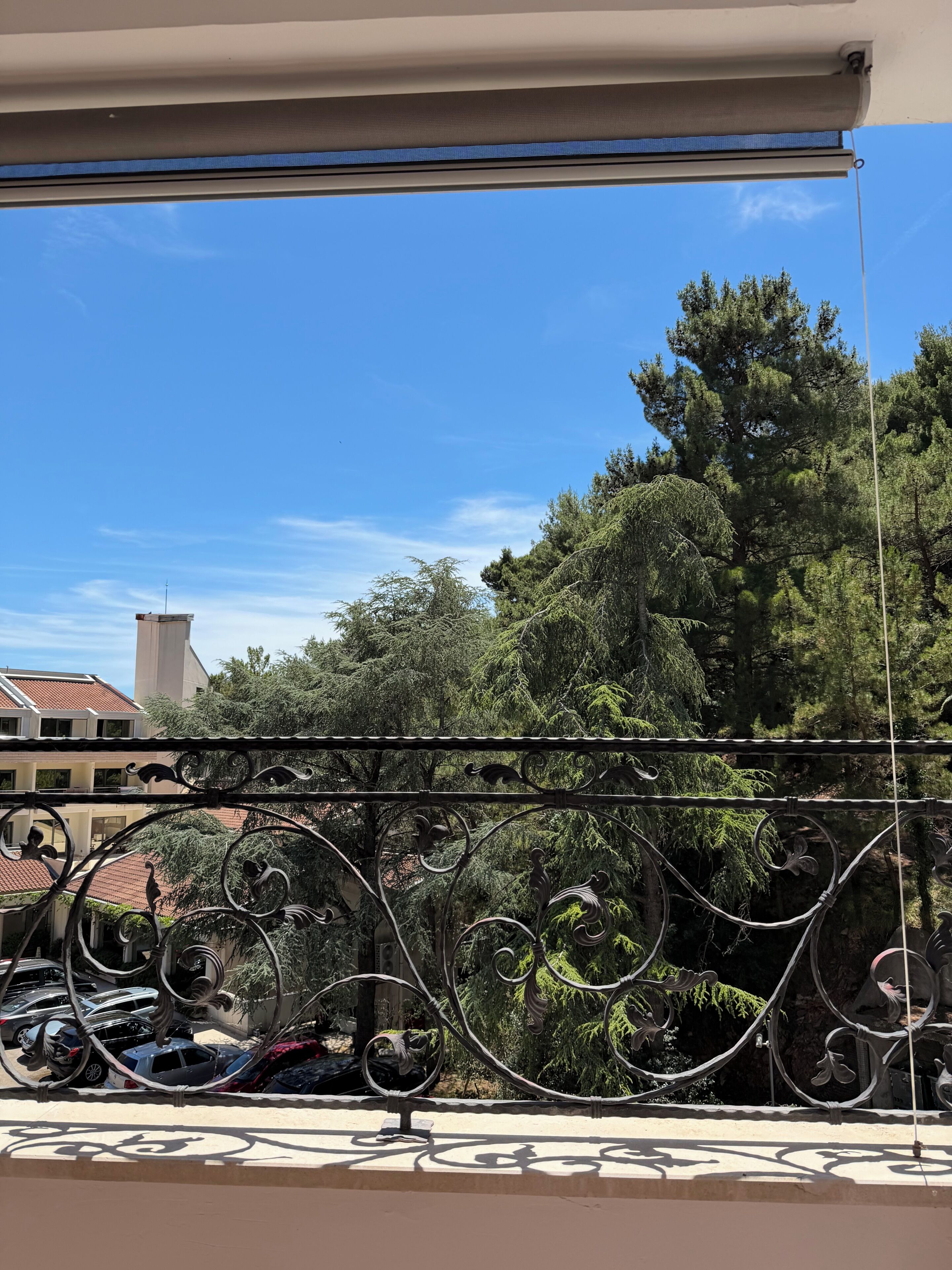 Ein Balkon mit Metallgeländer, blauem Himmel und Bäumen im Hintergrund.