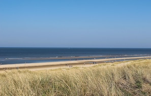 Ein Strand mit Menschen, die am Ufer entlanggehen, und einem grasbewachsenen Vordergrund.