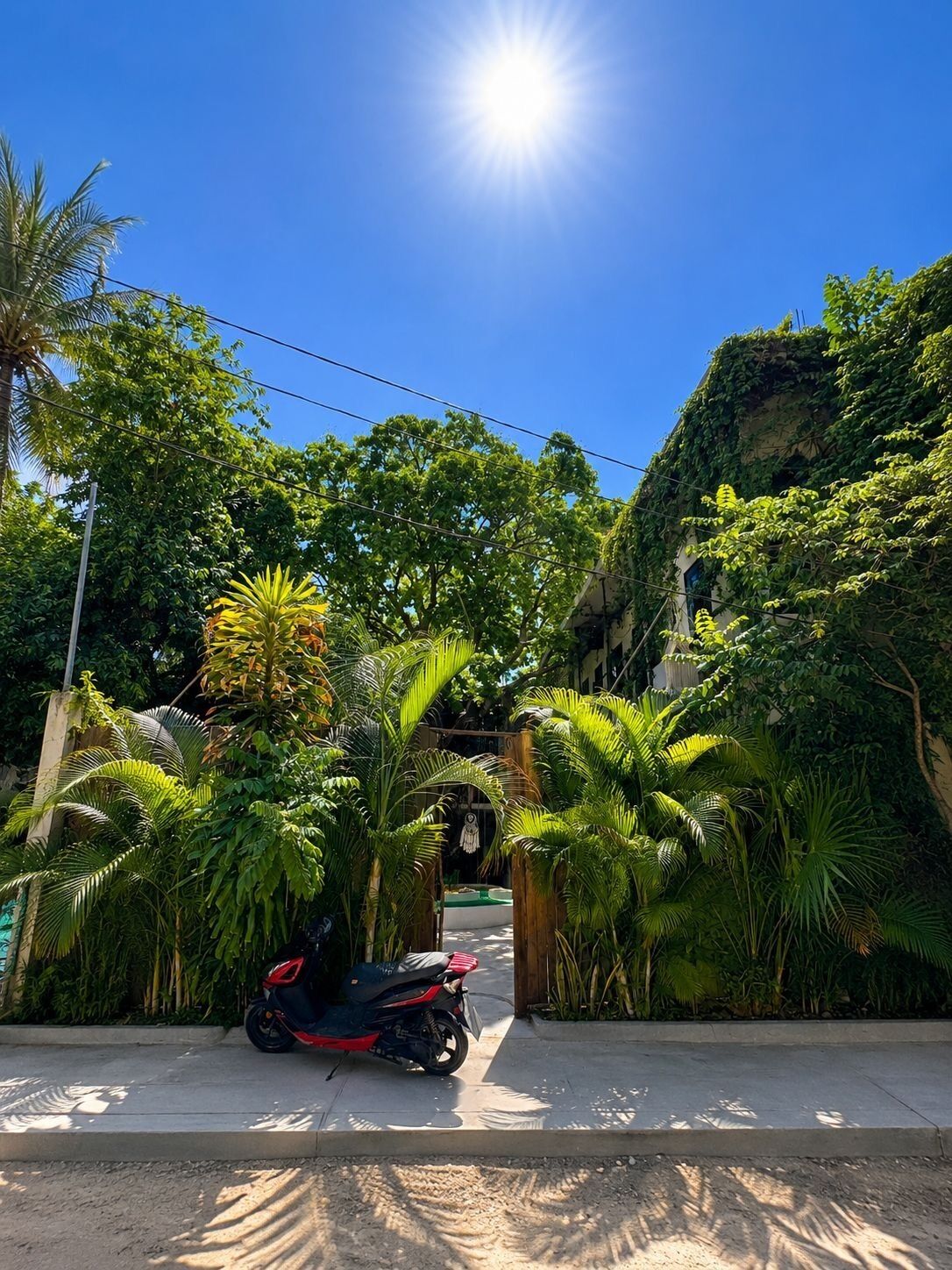 Cielo sereno, uno scooter parcheggiato e vegetazione rigogliosa.