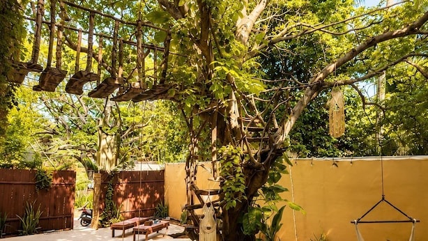 A pool surrounded by trees, a hammock, and a wooden deck. - Casa Ceiba  (Puerto Escondido)