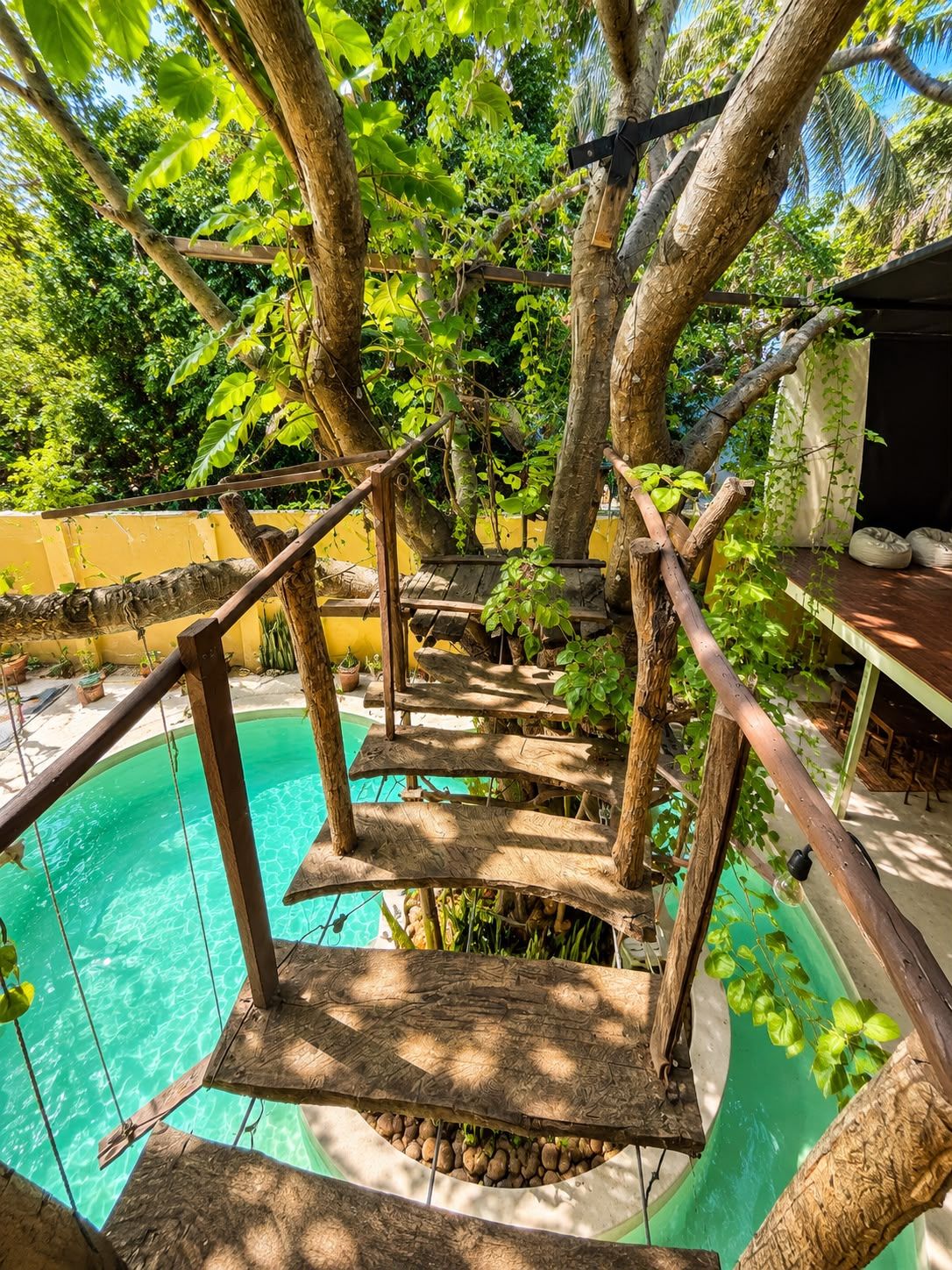 Una casa en el árbol de madera con un puente colgante sobre una piscina, rodeada de exuberante vegetación.