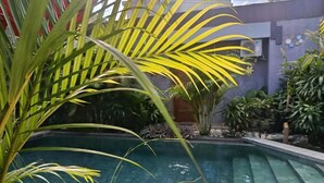A swimming pool surrounded by lush greenery and a modern building with a grey facade. - Sri Asta Guna (Legian)