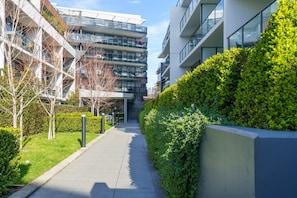 Property grounds - Spacious Inner South Home near Manuka and Kingston (Griffith)