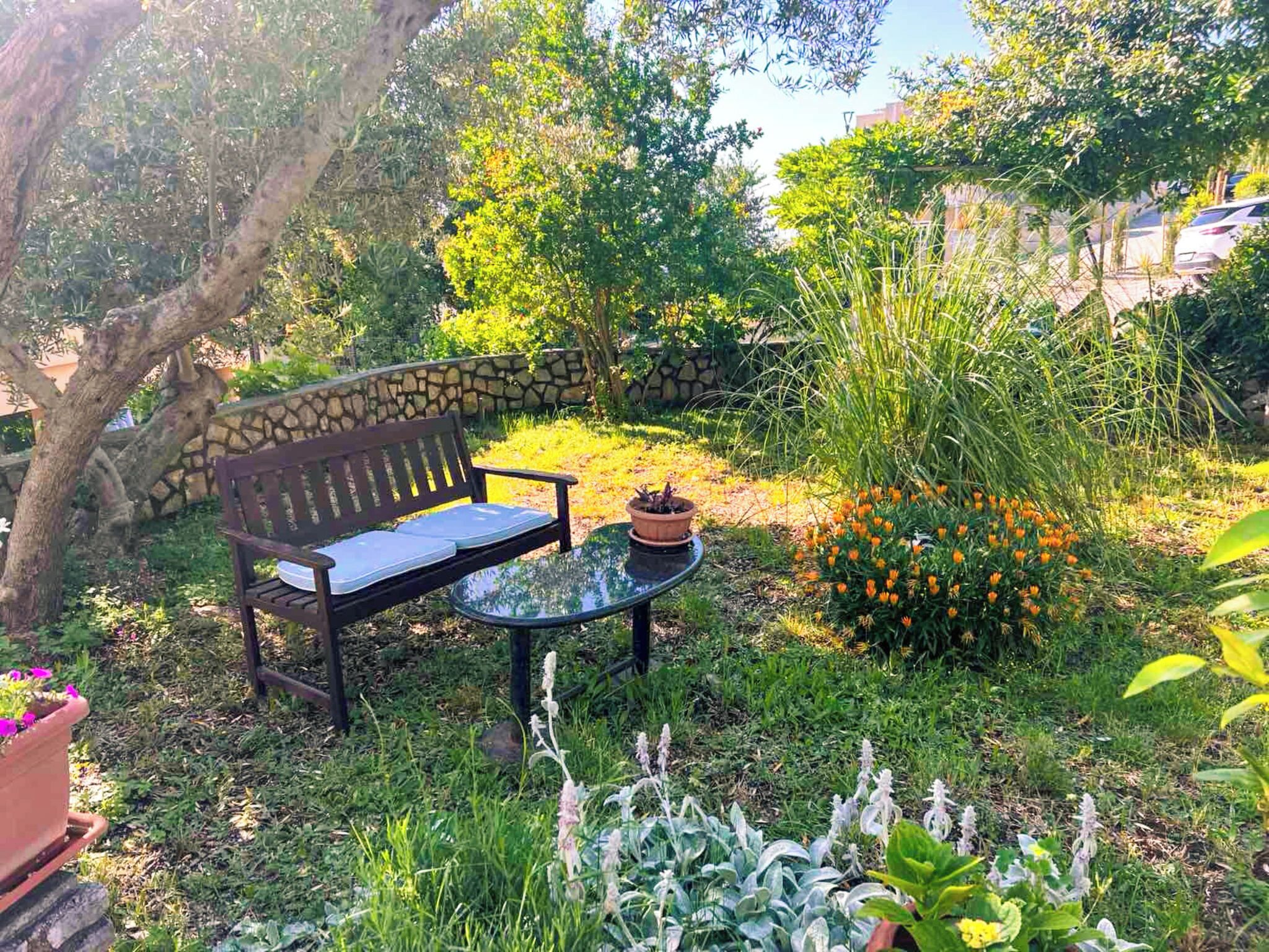 Un giardino con una panchina e un tavolo, circondato da diverse piante e fiori.