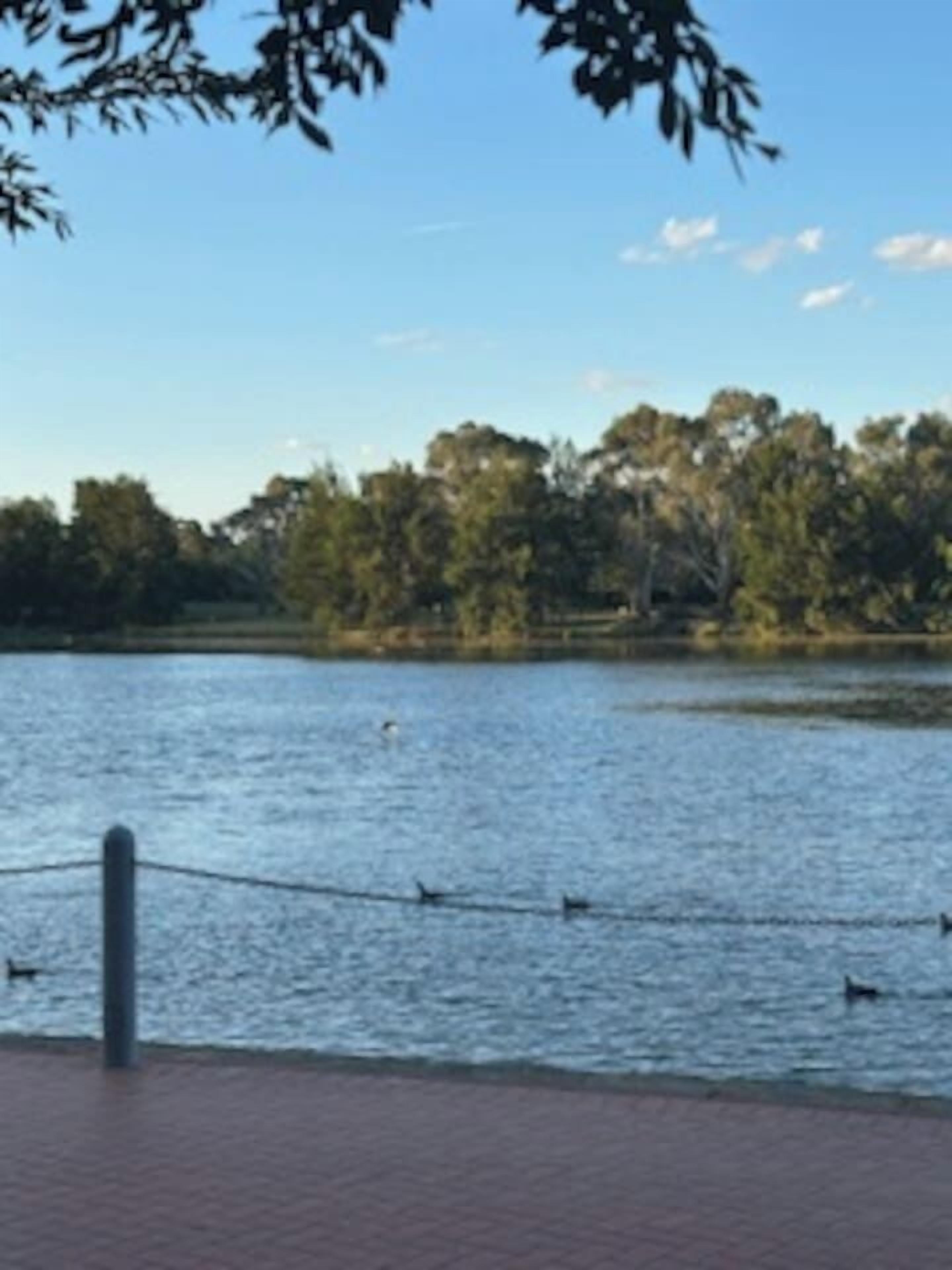 A body of water with a fence in the foreground and trees in the background.