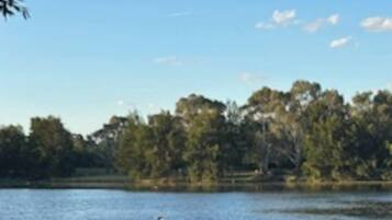 A body of water with a fence in the foreground and trees in the background.
