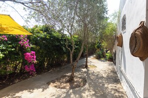 A narrow pathway flanked by lush greenery and a white building with a woven basket on the wall. - Nature Villa · Pool · Large Garden · Cap Bon   (Grombalia)