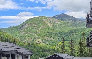 Exterior - Beautiful apartment in Hemsedal with sauna (Hemsedal)