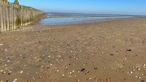 A sandy beach with scattered seashells and a wooden fence. - Fully equipped beach house with a terrace (Ellemeet)