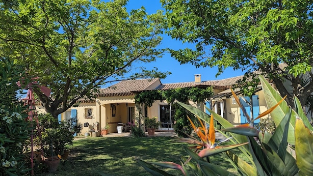 A house with a tiled roof, surrounded by lush greenery and potted plants. - Large family home in the middle of an olive grove (Le Pradet)
