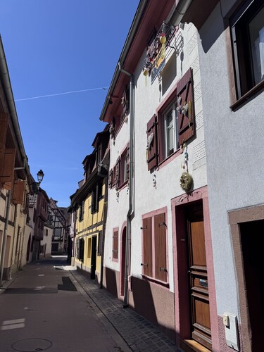 Poutres et Prestige - Le Charme alsacien au cœur de Sélestat jusqu'à 8 personnes