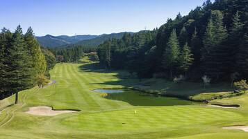 Camp de golf amb una bassa, envoltat per un bosc dens i turons.