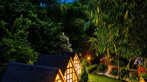 A row of small, cozy cottages with thatched roofs and large windows, surrounded by lush greenery.