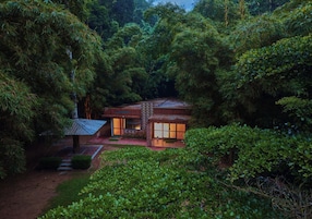 Una casa aislada rodeada de un bosque frondoso, con un pequeño porche y un sendero que lleva a la entrada.