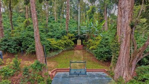 A wooden deck with a bench, surrounded by dense forest.