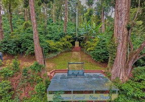 Una terraza de madera con un banco, rodeada de un bosque frondoso.