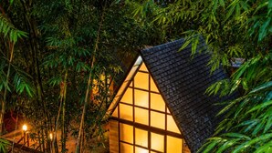 A small house surrounded by dense bamboo forest at night.