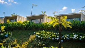 Um edifício moderno com telhado plano, rodeado por vegetação exuberante e plantas floridas.
