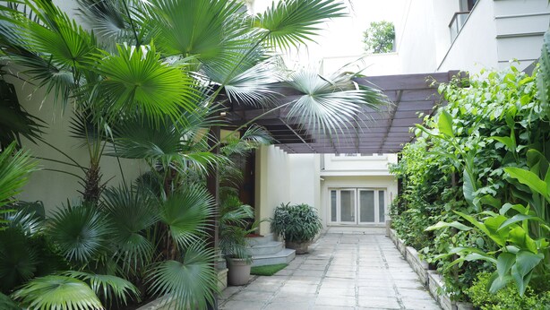 A narrow courtyard with potted plants and a small staircase leading to a door.