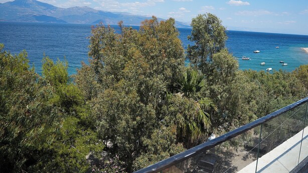 A coastal view with trees, a clear sky, and boats on the water.