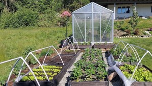A greenhouse with plants, a house in the background, and a garden with a stone border. - Charming House, 8 Beds, Possibility to Rent a Boat (Bjørnafjorden)