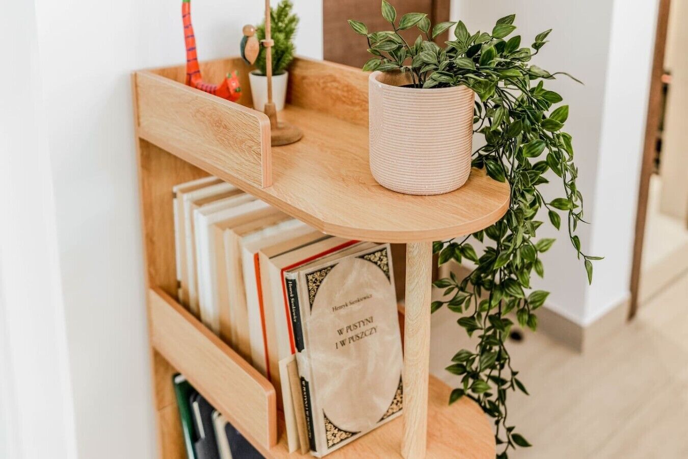 A wooden bookshelf with books, a potted plant, and a small decorative item.