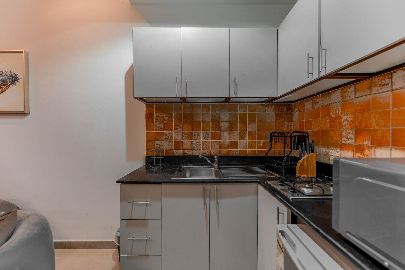 Kühlschrank, Mikrowelle, Ofen, Herdplatte