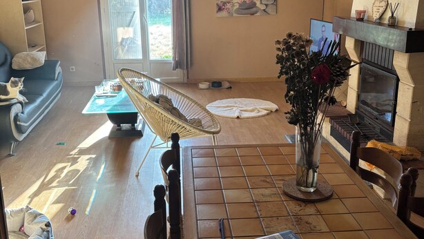 Uma sala de estar com lareira, uma mesa de jantar com papéis, um ventilador e um gato em um sofá.