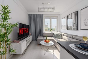 Fernseher, Arbeitsbereiche