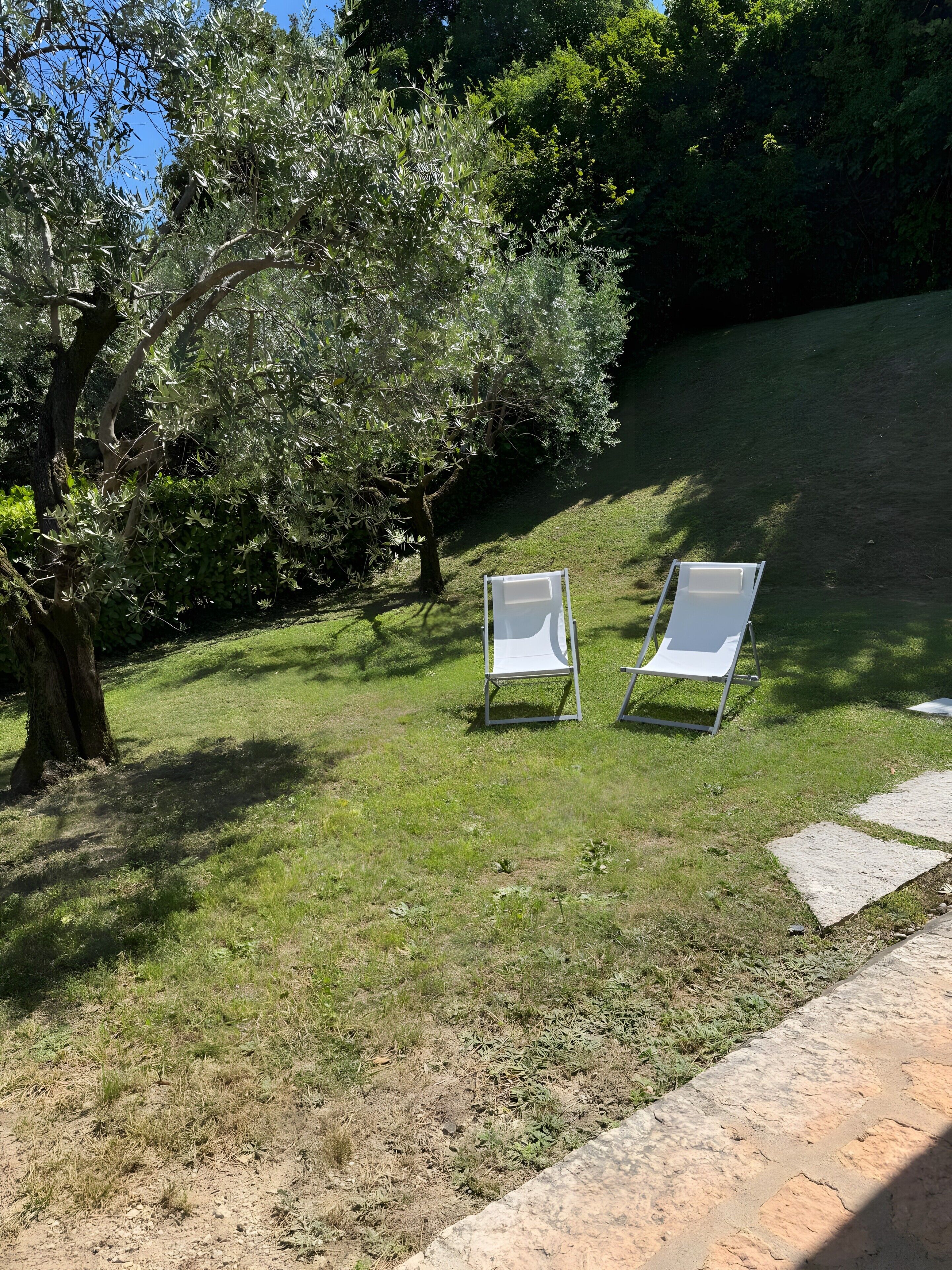 Parco della struttura