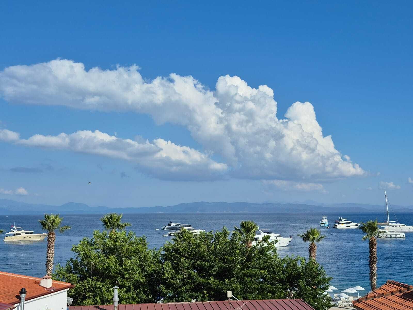 A coastal view with boats, palm trees, and a clear sky.