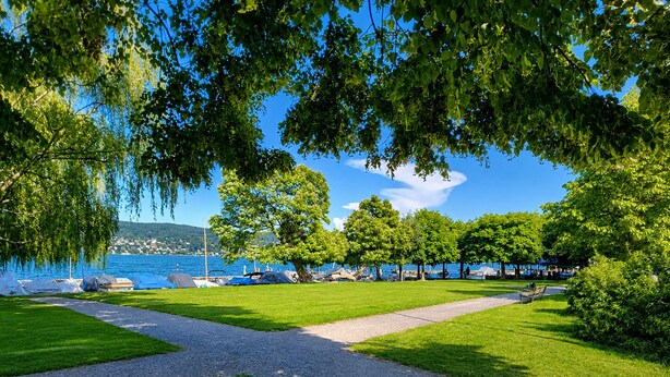 A park with pathways, trees, and boats by a lake.