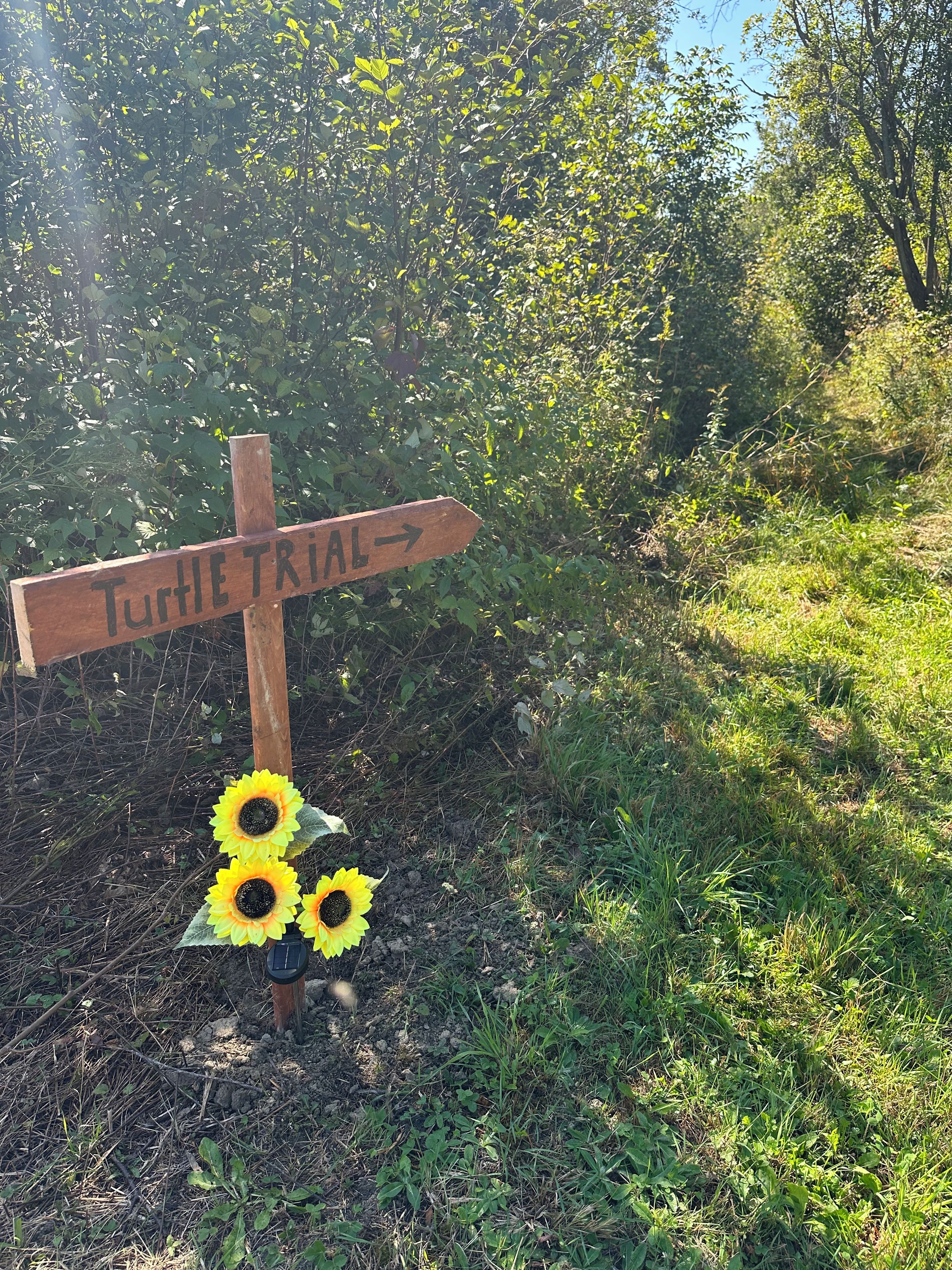 A wooden signpost with directional arrows and the text 'TURIE TRIAL' pointing to the right.