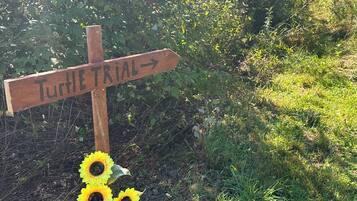 A wooden signpost with directional arrows and the text 'TURIE TRIAL' pointing to the right.