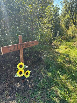 Ein hölzernes Wegweiser mit Pfeilen und dem Text 'TURIE TRIAL', der nach rechts zeigt.