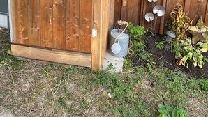 Una puerta de madera con diseño de estrella, una ventana con vistas, y un pequeño jardín con plantas y un balde de metal.
