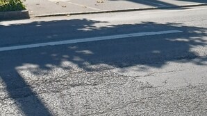 Un immeuble résidentiel doté d’une entrée sécurisée par un portail, d’un balcon et d’un arbre devant.