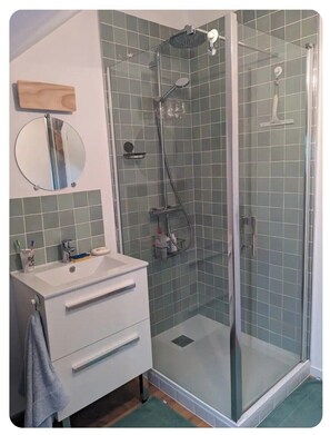 Shower, hair dryer, soap - Cosy house with cat (Saint-Pierre-des-Corps)