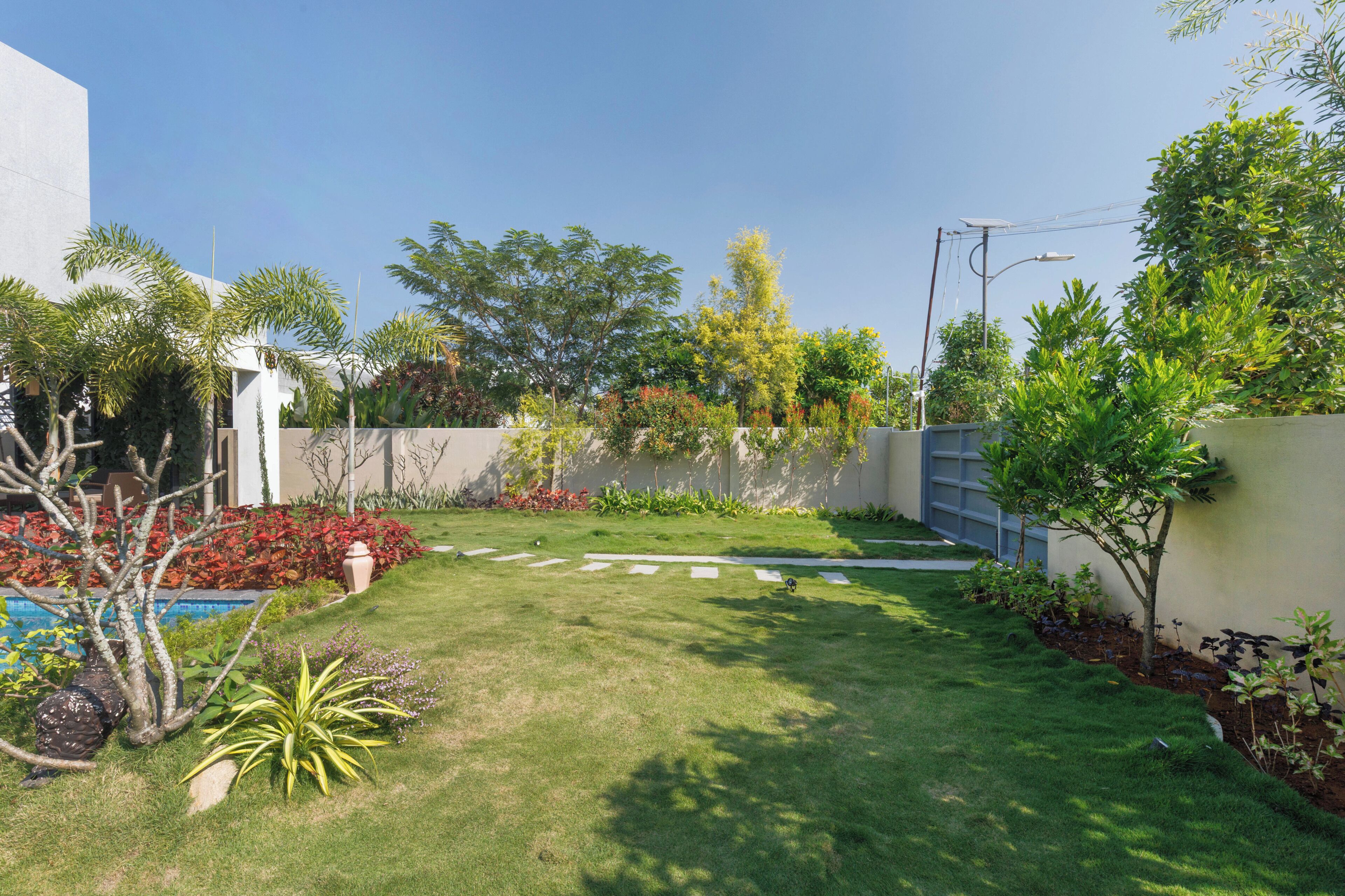 Un jardín cuidado con césped, plantas variadas y un muro.