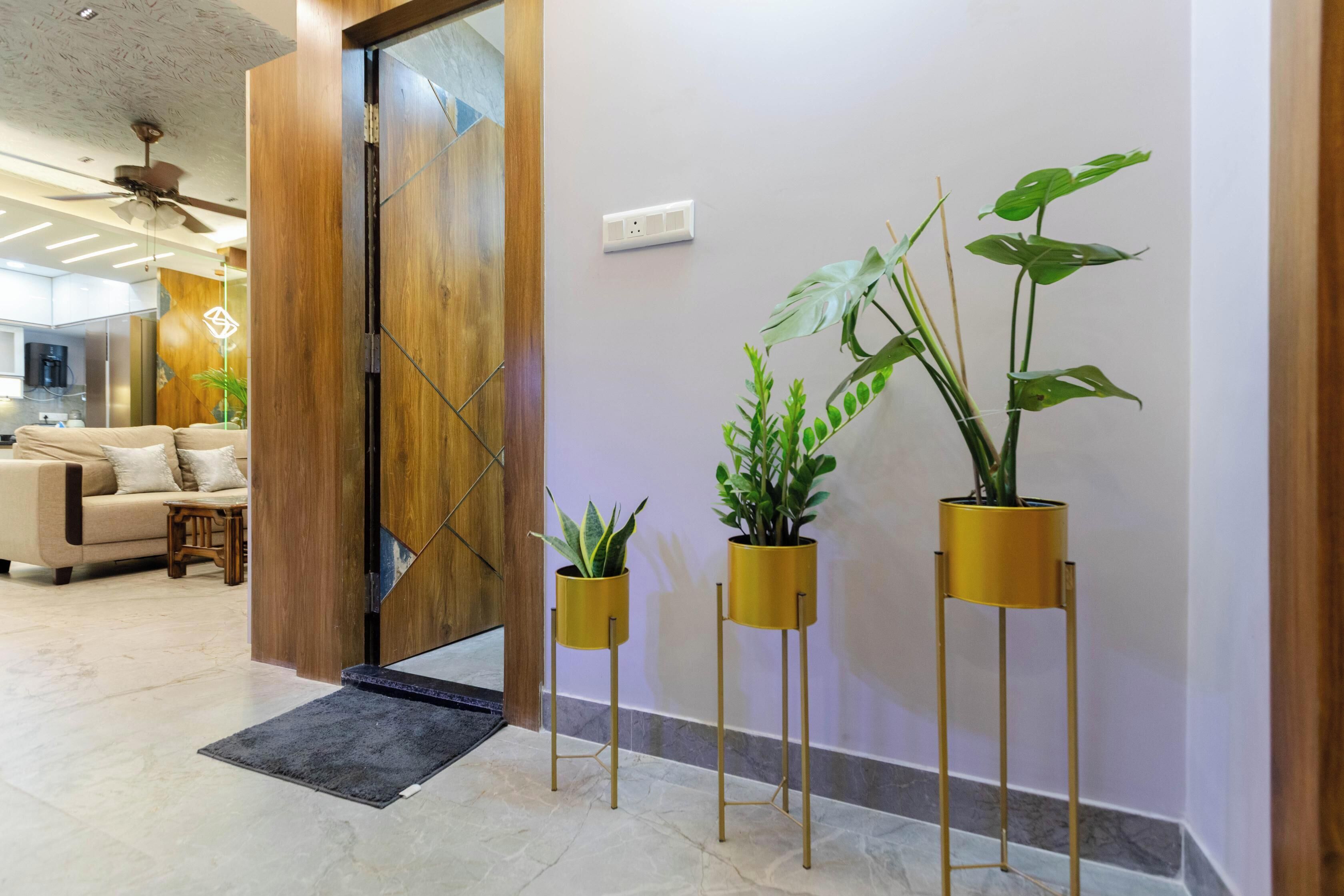 A modern interior with a wooden door, a sofa, and three potted plants on gold stands.