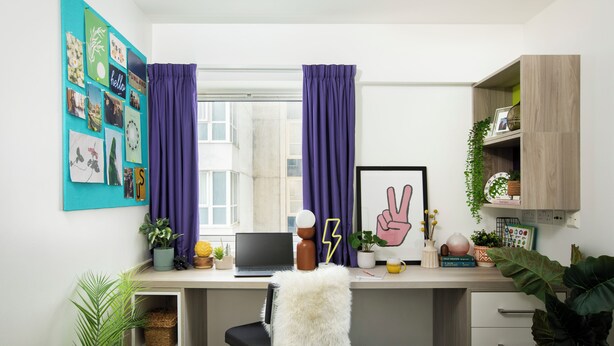 A room with a desk, chair, laptop, potted plants, and a bulletin board with photos. - Student Only - Ty Pont Haearn - Cardiff (Cardiff)