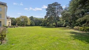 A grassy courtyard with a building on one side and trees on the other. - Stylish 2BR Marlow Stay + Parking - By Tempstay (Marlow)