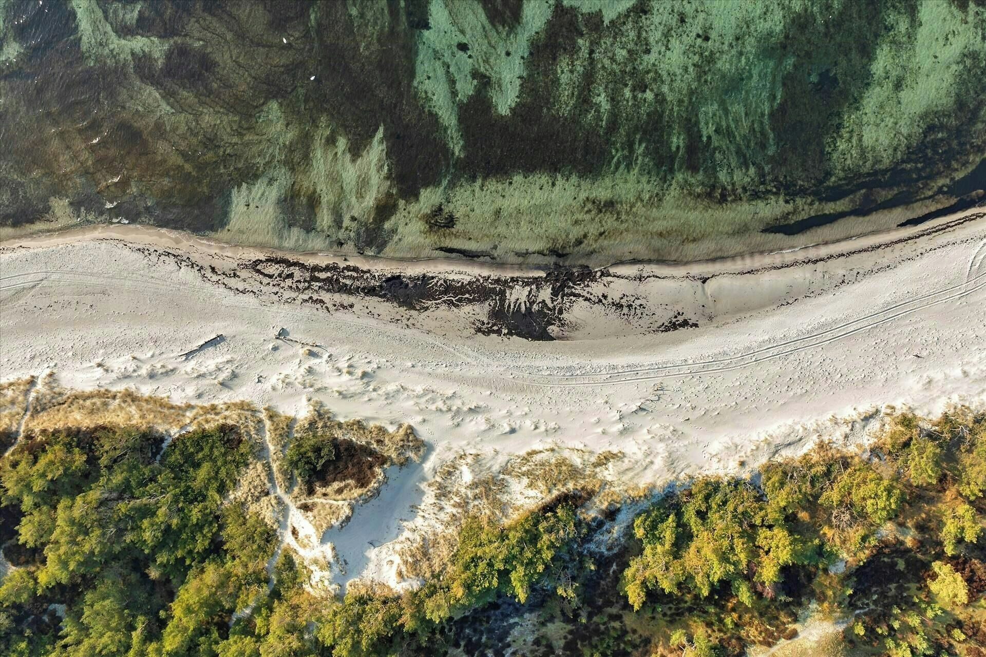A barren landscape with a distinct geological formation, a river, and dense forest.