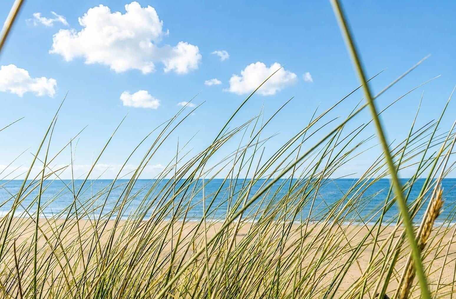 On the beach, sun-loungers, beach towels