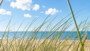 Plage, chaises longues, serviettes de plage