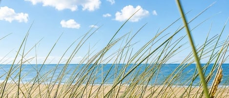 Plage, chaises longues, serviettes de plage