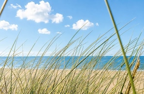 A beach with clear skies and ocean in the background.